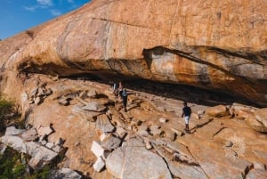 Namibia Coastal Tour Excursion