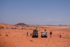 Namibia Coastal Tour Excursion