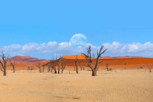Namibia: Explore Africa’s largest canyon, dunes, salt pans