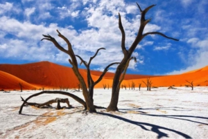 Namibia: Explore Africa’s largest canyon, dunes, salt pans