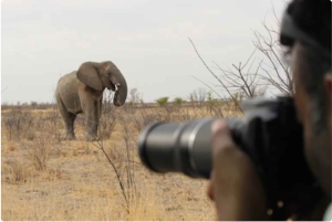 Namibia: Explore Africa’s largest canyon, dunes, salt pans