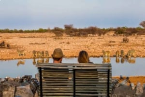 Namibia: Explore Africa’s largest canyon, dunes, salt pans