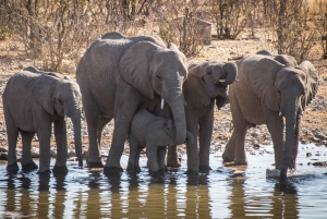 Namibia Explorer Adventure Tour