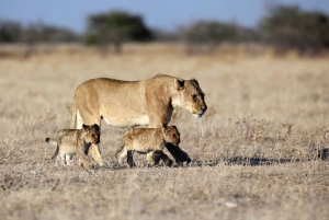 Namibia Explorer Adventure Tour