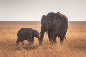 Namibia Explorer Adventure Tour