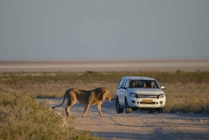 Namibia Explorer Adventure Tour