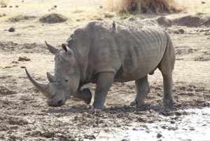 Namibia Explorer Adventure Tour