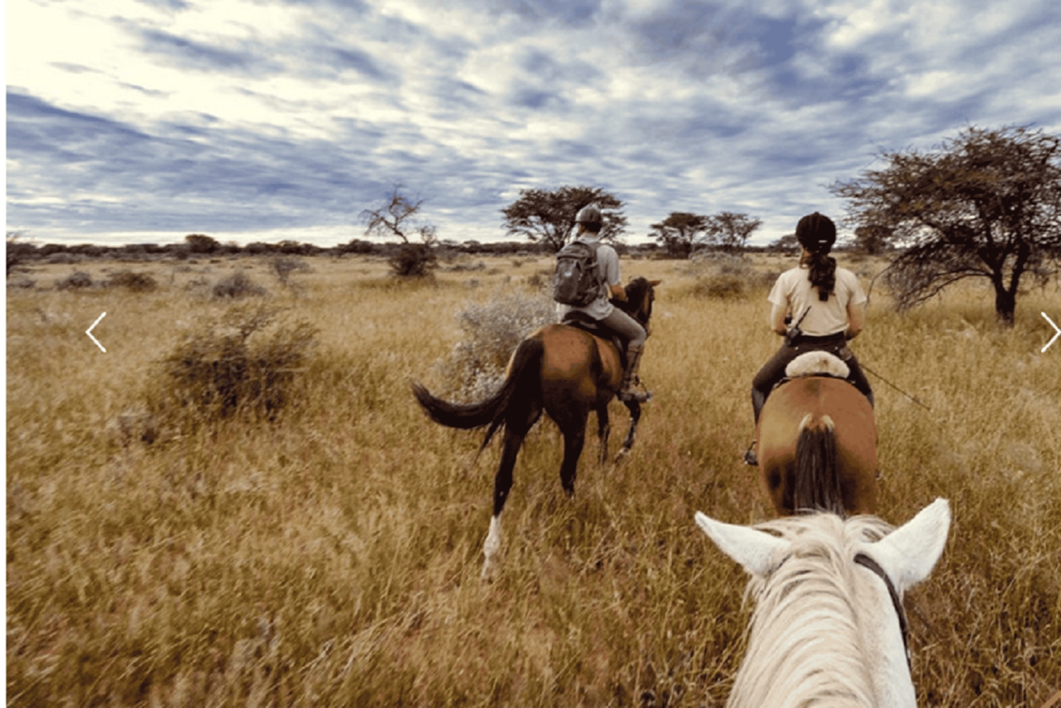 Namibia: Horse Riding Safari at Kambaku Game Reserve