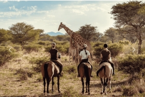 Namibia: Horse Riding Safari at Kambaku Game Reserve