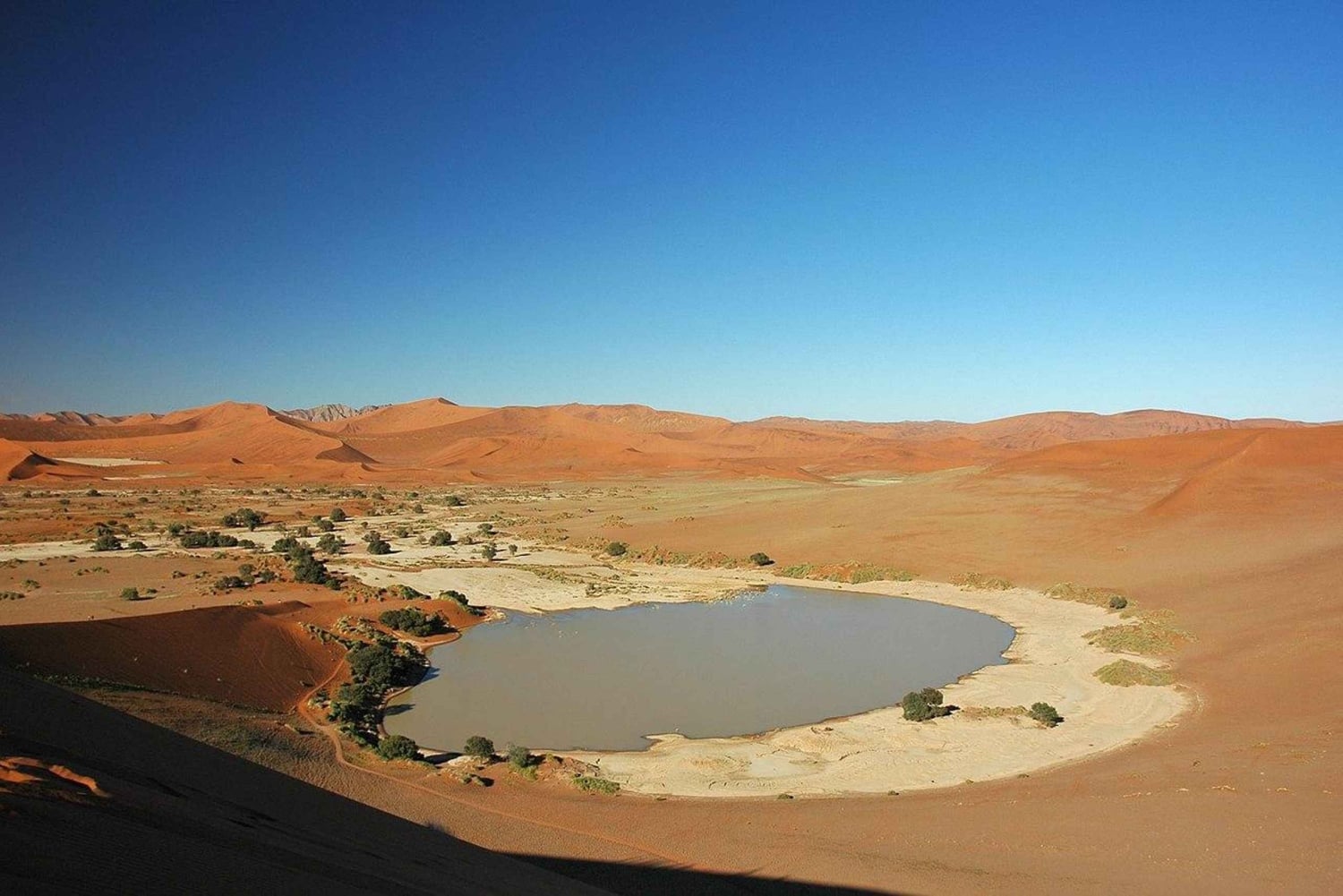 Namibia in a Nutshell: 3-Day Sossusvlei & Swakopmund Express