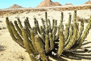 Namibia: Spitzkoppe Full Day Tour