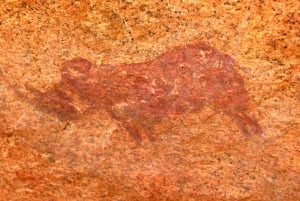 Namibia: Spitzkoppe Full Day Tour