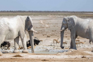 Namibia - Where your Soul find peace