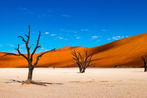 Namibia - Where your Soul find peace