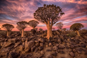 Namibia - Where your Soul find peace