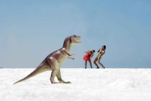 Mancora: Negrito White Desert - The little Uyuni - Salt Lake