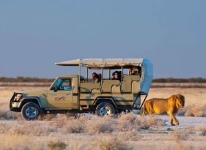 My Guide to Namibia