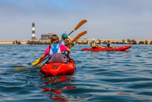 Pelican Point: Kayak with Seals Experience