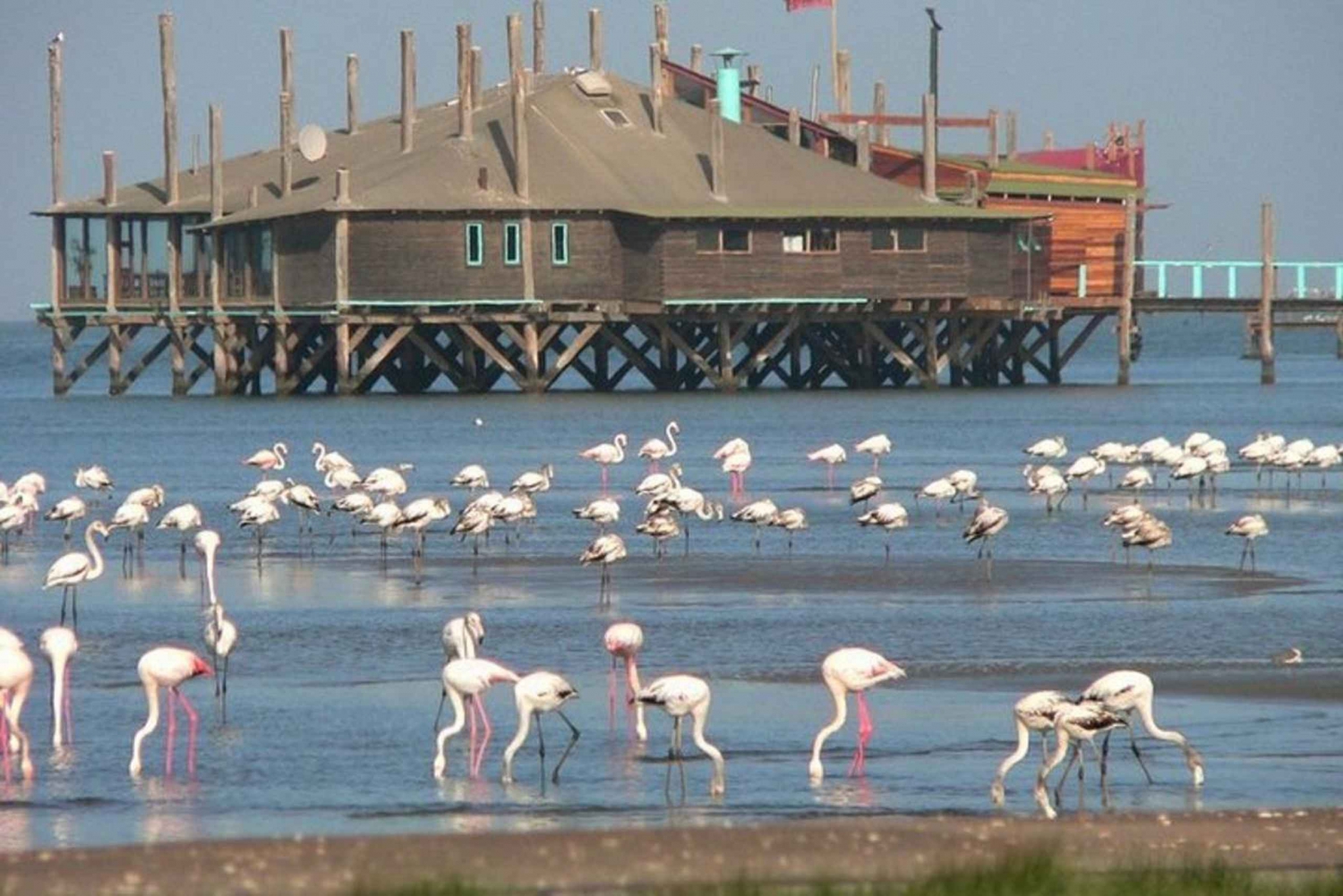 Highlights of Walvis Bay Private Tour