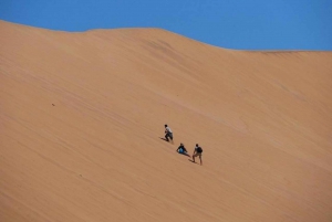 Highlights of Walvis Bay Private Tour