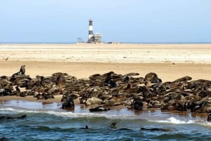 Highlights of Walvis Bay Private Tour