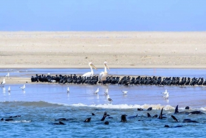 Highlights of Walvis Bay Private Tour