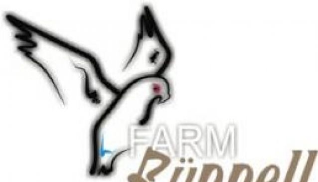 Ruppel Ranch Guest Farm