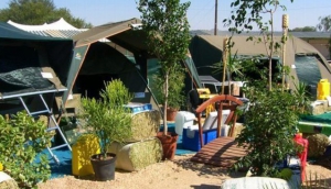 Agra Safari Den