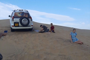 Swakopmund: Sandboarding Adventure. Slide down, Shuttle up!
