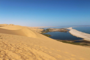 Sandwich Harbour: 4x4 Where Sea & Dunes Meet with Escapades