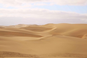 Sandwich Harbour: 4x4 Where Sea & Dunes Meet with Escapades