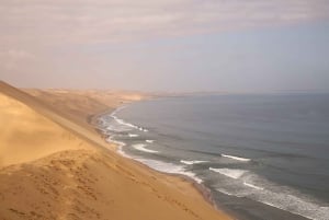 Sandwich Harbour: 4x4 Where Sea & Dunes Meet with Escapades