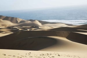 Sandwich Harbour: 4x4 Where Sea & Dunes Meet with Escapades