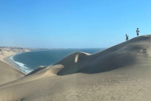 Sandwich Harbor Excursion Namibia/Walvis bay