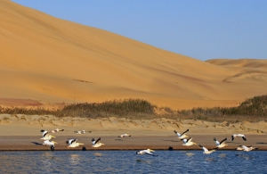 Sandwich Harbour 4x4