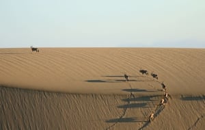 Sandwich Harbour 4x4