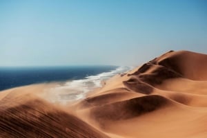 Sandwich harbour Boatcruise or Kayak and dune tour