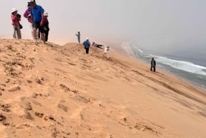 Sandwich Harbour Experience – Where Dunes Kiss the Ocean