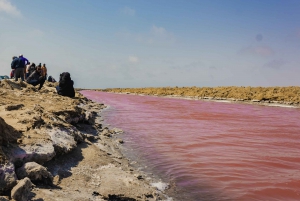 Sandwich Harbor Half Day Tour