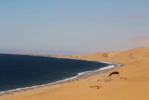 Sandwich Harbour: Namibia’s Ultimate Desert Meets Ocean Tour