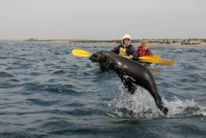 Sandwich harbour r Kayak and dune tour