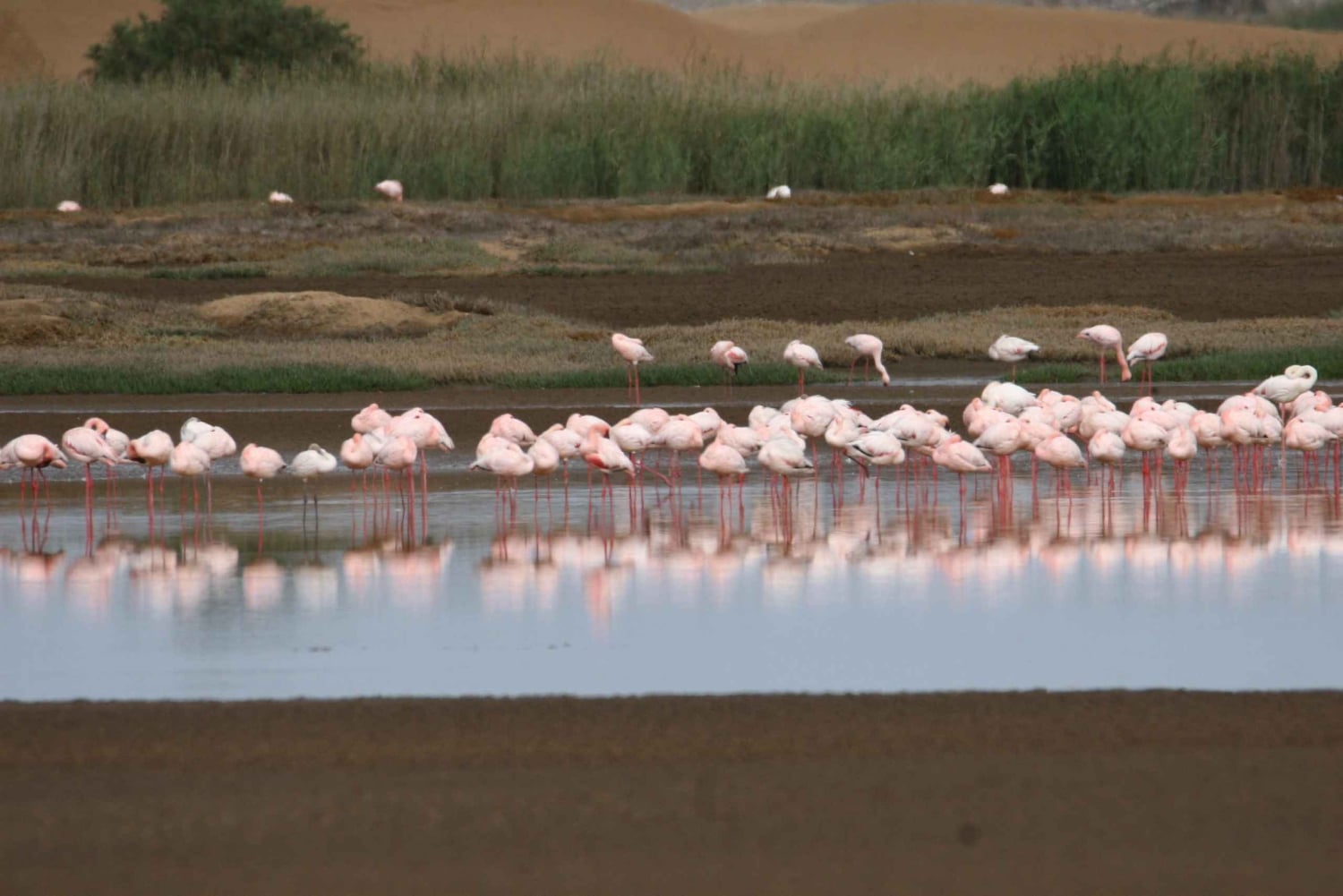 Sandwich Harbour Tour: