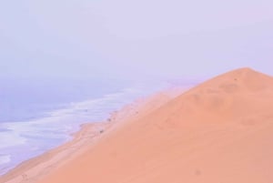 Sandwich Harbour Tour: