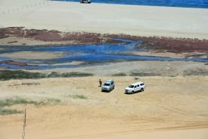 Self-Drive Namib Desert Adventure to Sandwich Bay