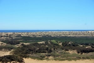 Self-Drive Namib Desert Adventure to Sandwich Bay