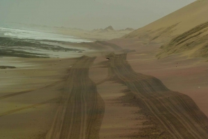 Self-Drive Namib Desert Adventure to Sandwich Bay