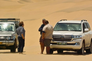 Self-Drive Namib Desert Adventure to Sandwich Bay