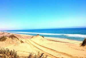 Self-Drive Guided Tour to Sandwich Harbour
