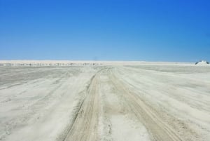 Self-Drive Guided Tour to Sandwich Harbour