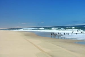 Self-Drive Guided Tour to Sandwich Harbour